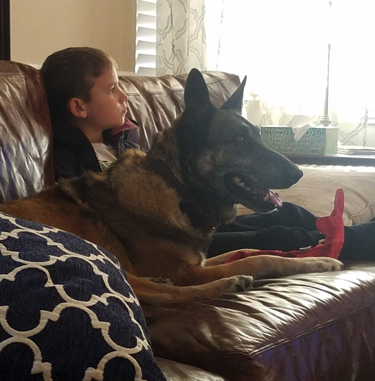 Screen Shot 2019-05-07 at 2.25.42 PM