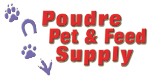 ppfs 3 line no background no lines