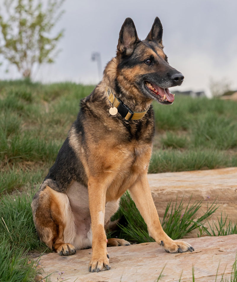 04272025KnudsenNegan-04665-scaled