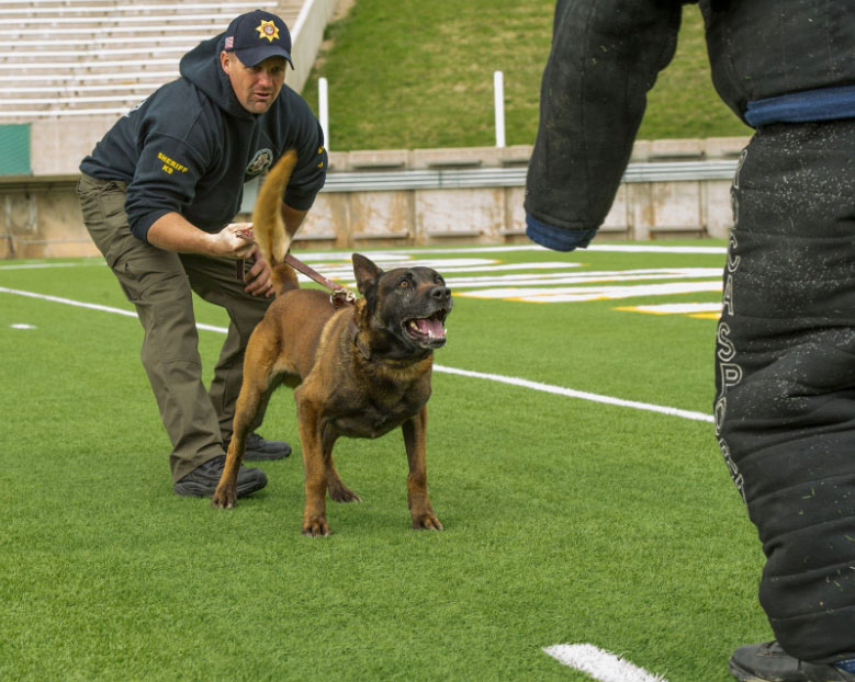 Screen-Shot-2019-05-07-at-3.01.57-PM